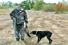 На Дону началась охота на фазана