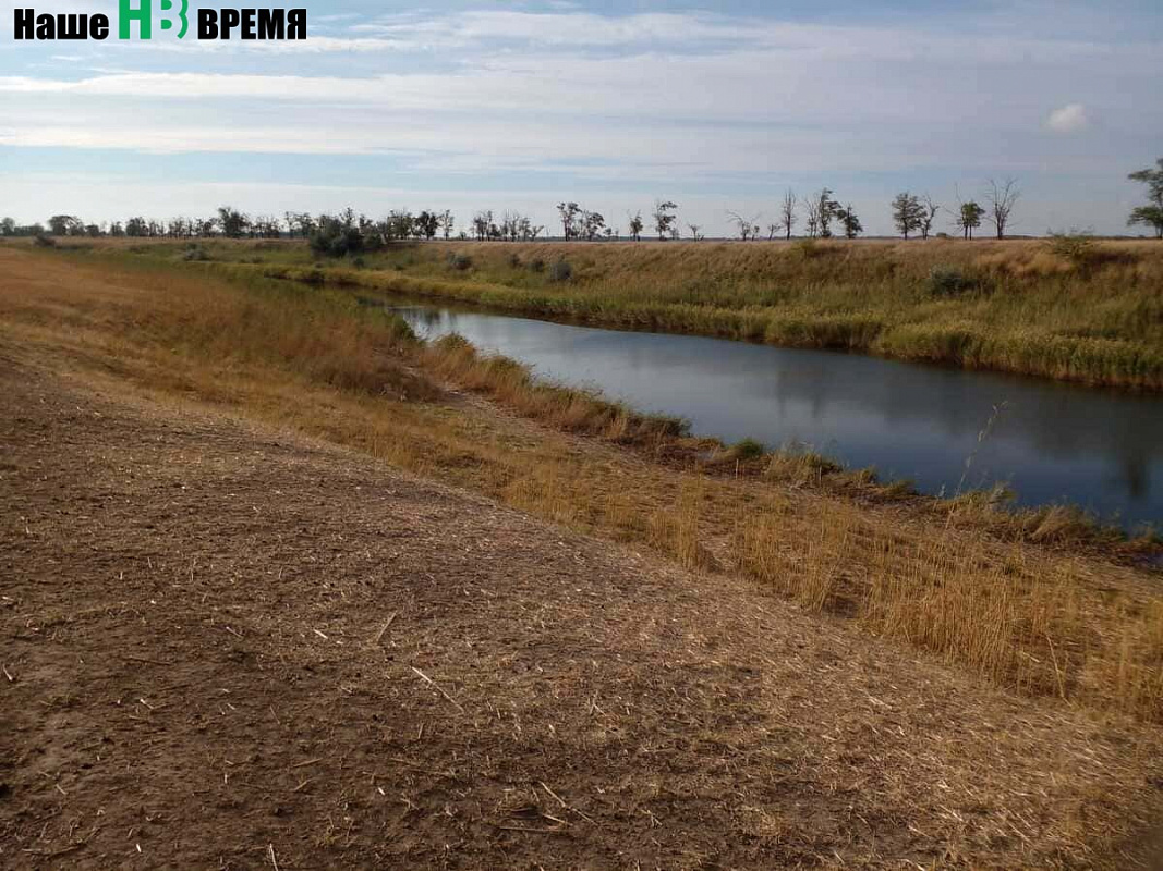В реке Сал пастухи поили скот Краснобаева.