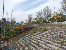 Погуляем, поснимаем — 12