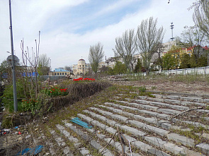 Погуляем, поснимаем — 12