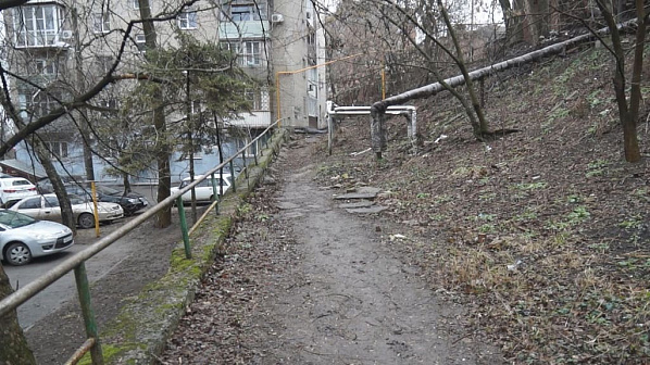 Озеленение проспекта Стачки держится пока только за счет старого озеленения. Но деревья стареют, а новых посадок практически нет.