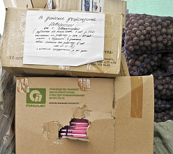 Дети хотят есть каждый день