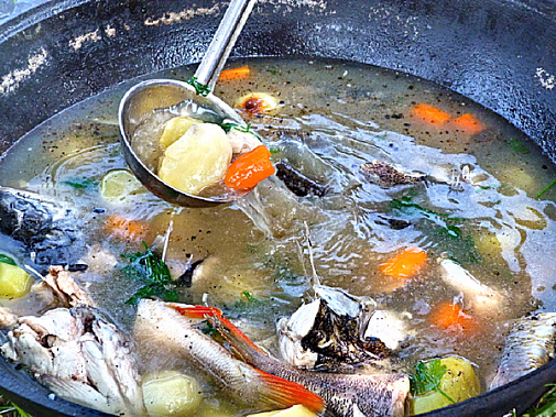 Сырые мясо и рыба могут наградить инфекцией и паразитами