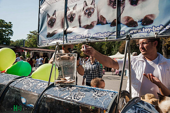 Вы помогли, спасибо!