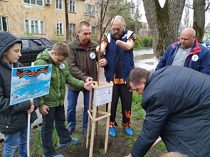 «Деревья памяти» сажают в Ростовской области