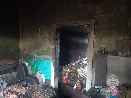 Двое детей погибли при пожаре в Сальске