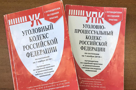 В Ростове-на-Дону суд вынес приговор серийному вору