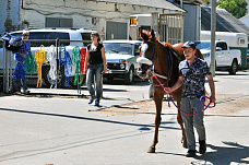 Как сейчас работает Ростовский ипподром