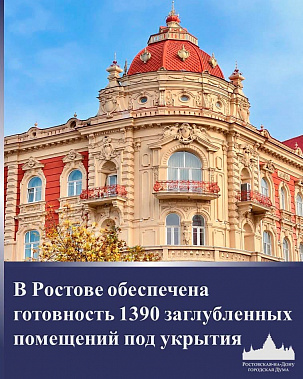 Депутаты городской Думы проанализировали готовность Ростова к защите в случае ЧС