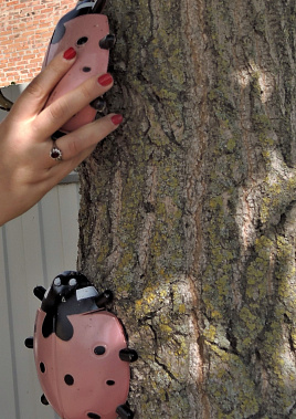 О зачислении детей участников СВО в дошкольные учреждения