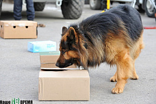 Сила есть...