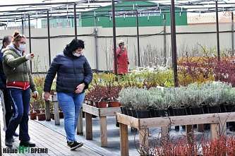 Виктор Гончаров: места для торговли саженцами на Дону есть