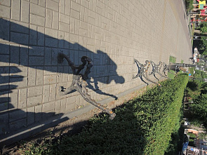 Центр Ростова: изуродованы скамейки