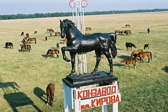 С сельскими школьниками Ростовской области занимаются профориентацией