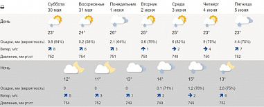 Погода в Ростовской области в июне: дождь, жара и снова дождь