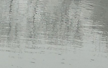   И снова — про гибель рыбы в Шахтах