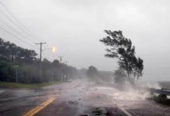 В Ростове ураганный ветер днем и дождь вечером