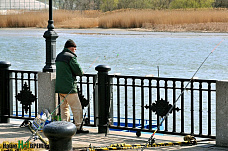 Как выходные на «карантине» проходят в Ростове