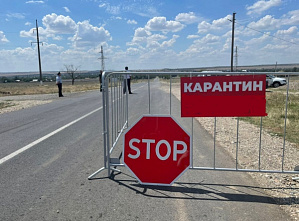 «Особо опасная болезнь животных» стала причиной введения карантина в двух районах Ростовской области