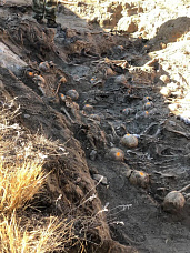 В Миллерово нашли массовое захоронение расстрелянных фашистами мирных граждан