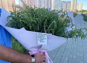 В Ростове скосили амброзию после акции «Подари чиновнику букет»