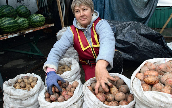 Картофель нынче дорог... Источник фото: kpravda.ru