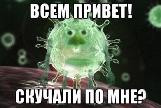 Источник фото: ВКонтакте.