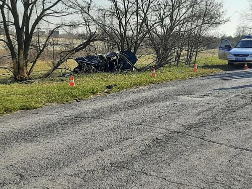 Фото отдела пропаганды УГИБДД по РО