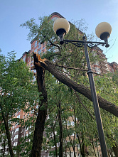  Зрелище завораживающее и пугающее одновременно...