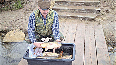 Приживется ли сазан в Ольховском пруду?