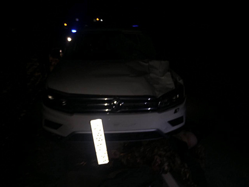 На трассе в Ростовской области машина насмерть сбила пешехода