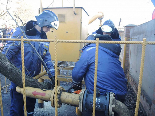 Накануне учений этому дереву «помогли» свалиться на газораспределительный узел. Теперь – убирают.