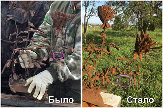 11.05 В Белой Калитве вандалы повредили памятную композицию