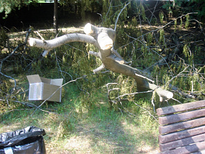 Центр Ростова: скамейки отремонтируют?