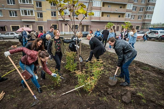 В Ростове-на-Дону определили площадки для Дня древонасаждения
