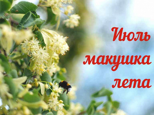 Июль на Дону ожидается жарким и влажным