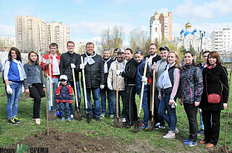 Клены, липы, туи...