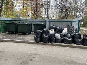 Мусор в праздничные дни донские регоператоры будут вывозить по стандартному графику