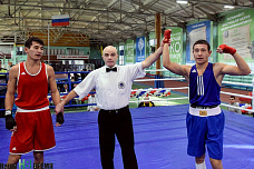 Ринг поставили в манеже