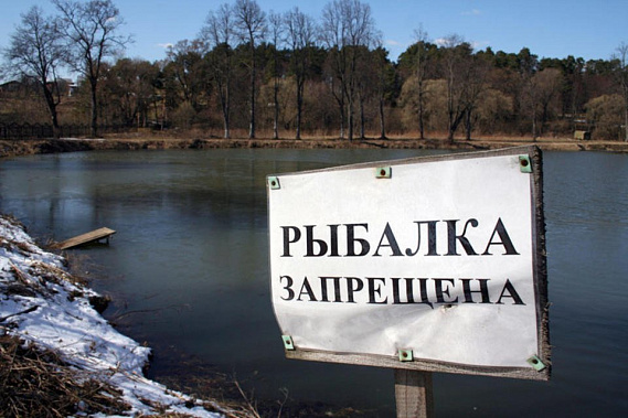 На ряде рек Ростовской области вводится запрет на рыбную ловлю