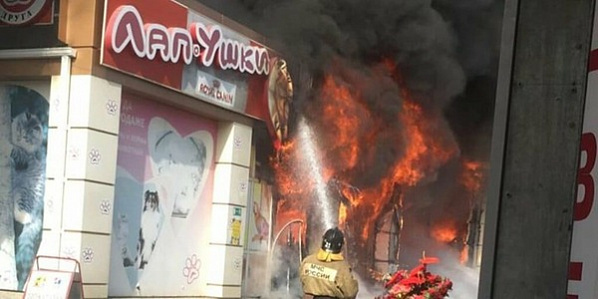 Во время пожара сгорели мыши и попугаи