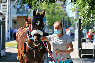 Как сейчас работает Ростовский ипподром