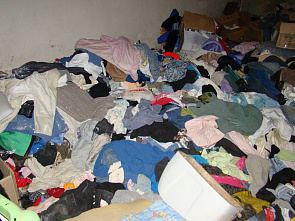 В тихой заводи