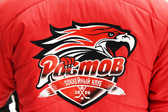 Куда улетают «Кондоры»? ХК «Ростов» прекращает свои выступления в первенстве страны