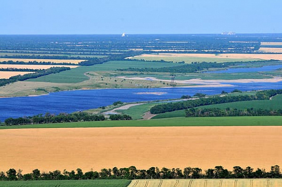 «Агрокомплекс» оштрафовали на 200 тысяч рублей за сорняки