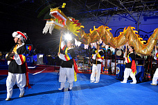 В Ростове проходят бои всероссийского турнира по тхэквондо «Кубок Дона»