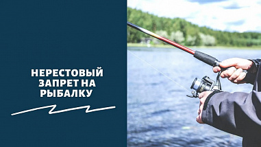 В Ростовской области вводится нерестовый запрет на рыбную ловлю