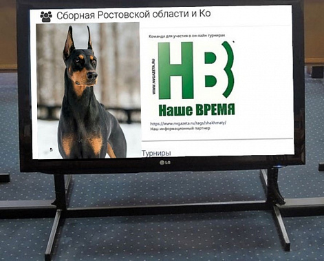 В составе шахматной сборной Дона отличился ее новичок под ником … Doberman_33