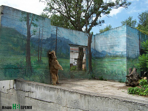 Даже змеи – в молодежном формате