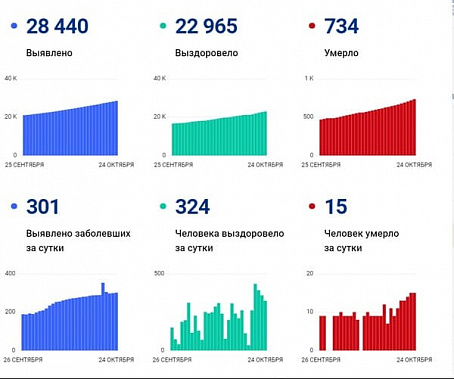 Коронавирус в Ростовской области: статистика на 24 октября